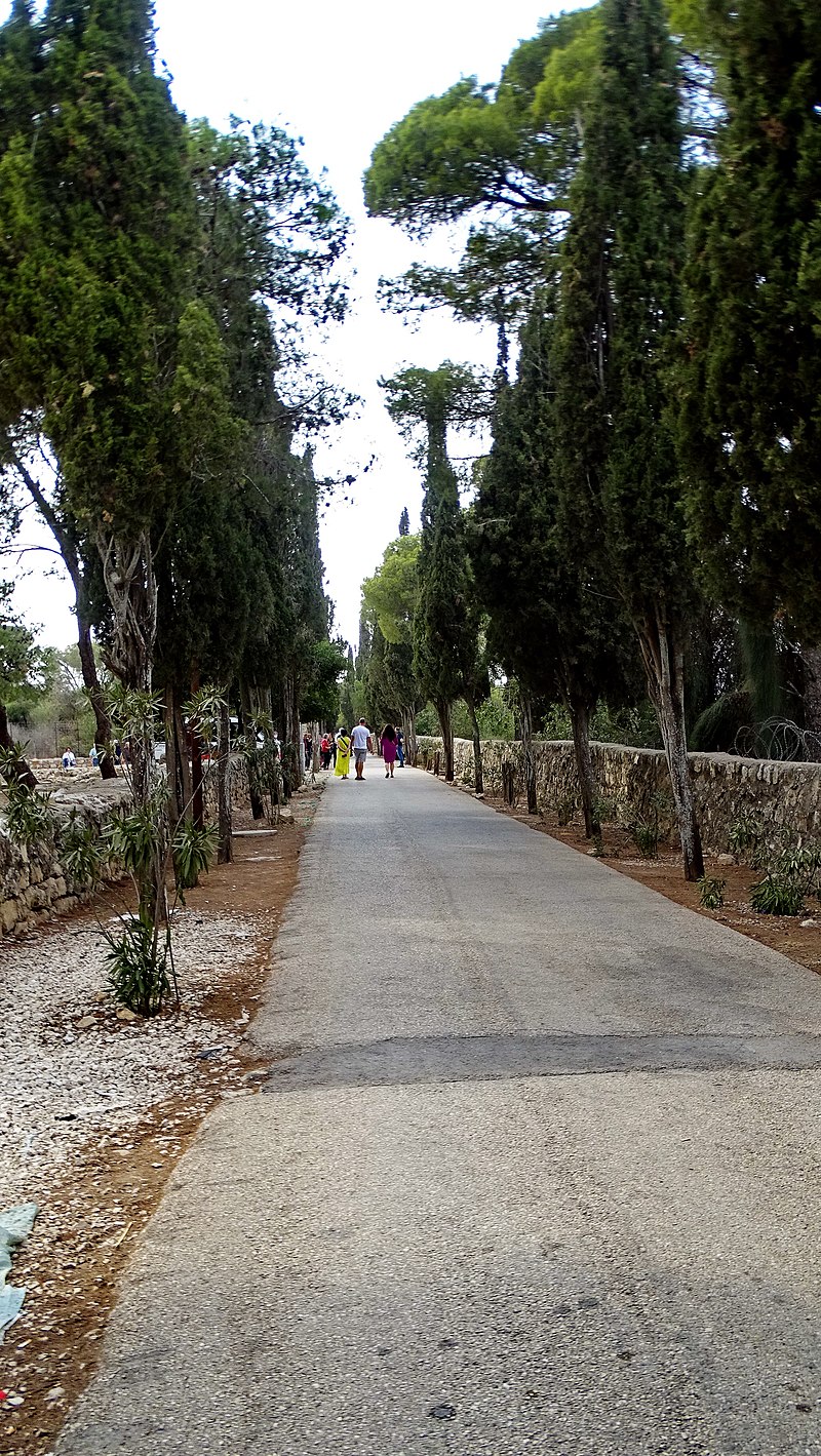 הר תבור – מסלול הפסגה - Ourtrip