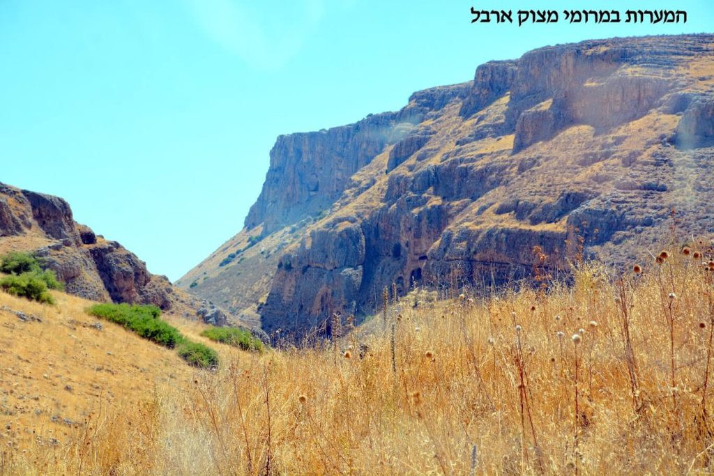 הר ארבל