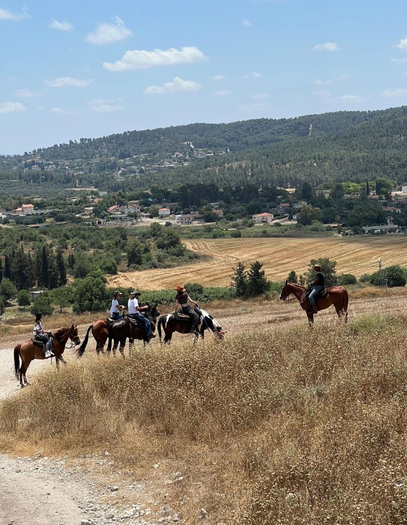 תמונה מרחוק של הסוסים